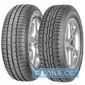 Купить Летняя шина SAVA Intensa HP 205/60R15 91V
