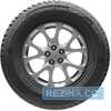 Купить Зимняя шина ROSAVA Snowgard 215/60R16 95T (Под шип)