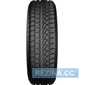 Зимняя шина STARMAXX Ice Gripper W850 - rezina.cc