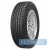 Купить Зимняя шина PETLAS SnowMaster W651 195/55R16 87H