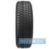 Купить Зимняя шина PETLAS SnowMaster W651 195/55R16 87H