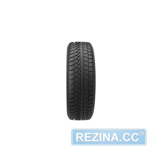 Купить Зимняя шина PETLAS SnowMaster W651 195/55R16 87H