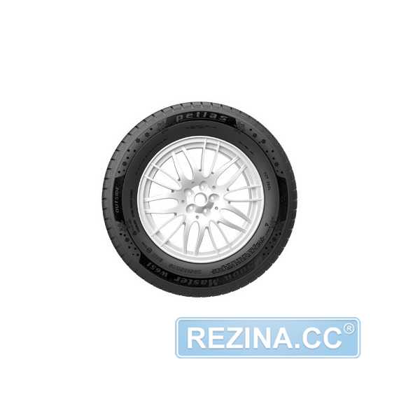 Купить Зимняя шина PETLAS SnowMaster W651 195/55R16 87H