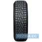 Зимняя шина ROADSTONE Winguard WinSpike - rezina.cc