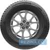 Купити Зимова шина ROSAVA Snowgard 195/65R15 95T (Під шип)