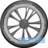 Купити Зимова шина BARUM Polaris 5 205/70R15 96T