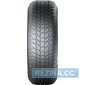 Зимняя шина GENERAL TIRE Snow Grabber Plus - rezina.cc
