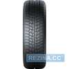 Купити Зимова шина GISLAVED Euro Frost 6 215/65R17 99V