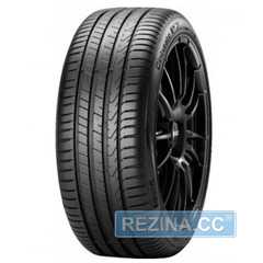 Купити Лiтня шина PIRELLI Cinturato P7 P7C2 225/55R17 97W