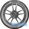 Купить Зимняя шина UNIROYAL WinterExpert 255/35R19 96V XL