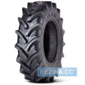 Купити Cільгосп шина OZKA AGRO 10 230/95R42 136A8/133D