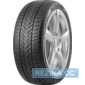 Купить Зимняя шина ARIVO WINMASTER PROX ARW5 275/40R21 107H