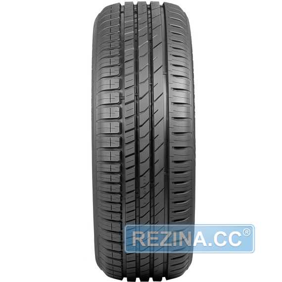 Купити Літня шина Nokian Tyres Nordman SX3 215/60R16 99H XL