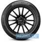 Летняя шина PIRELLI POWERGY - rezina.cc
