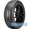 Купить Летняя шина ARROYO Grand Sport 2 225/55R17 101W XL