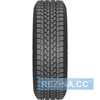 Купити Зимова шина SAVA Eskimo LT 205/65R16C 107/105T