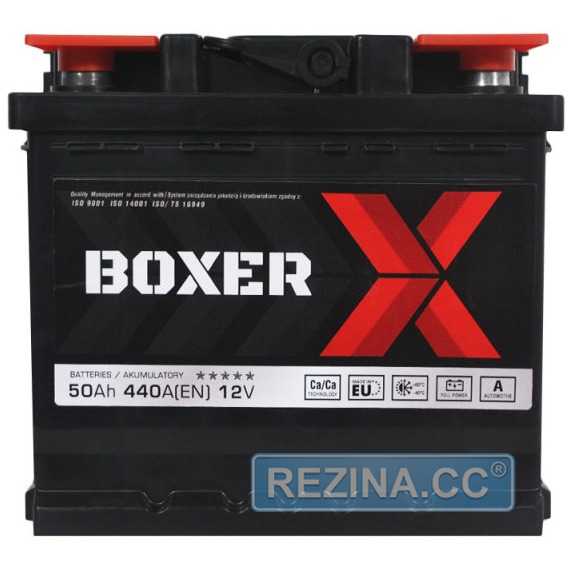Купить Аккумулятор BOXER (545 81) (L1) 50Ah 440A L+