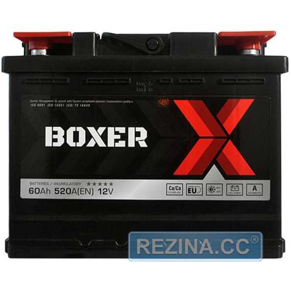 Купить Аккумулятор BOXER (555 80) (L2) 60Ah 520A R+