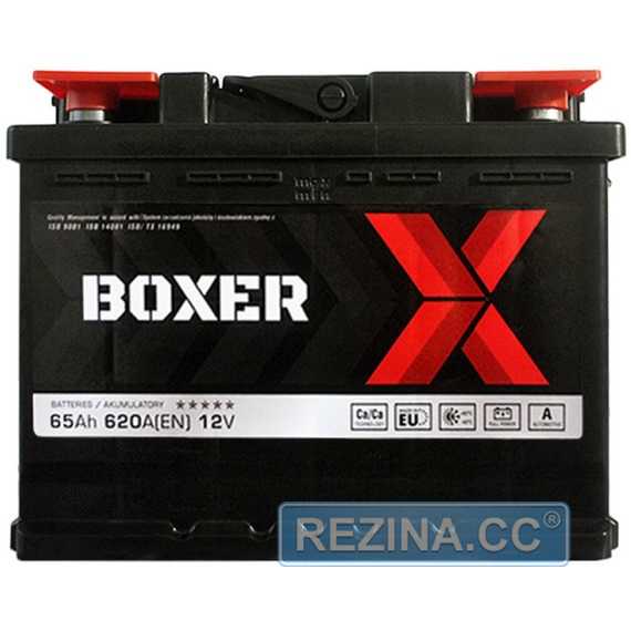 Купить Аккумулятор BOXER (565 81) (L2) 65Ah 620A L+