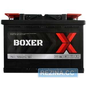 Купити Аккумулятор BOXER (575 80) (L3) 75Ah 720A R+