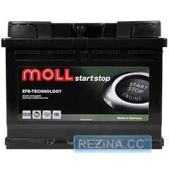 Аккумулятор MOLL EFB - rezina.cc