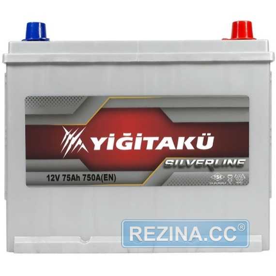 Аккумулятор YIGITAKU Asia SMF - rezina.cc