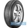Купить Зимняя шина DUNLOP Winter Sport 5 255/60R18 112V