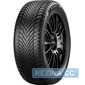 Купить Зимняя шина PIRELLI POWERGY WINTER 215/60R17 100V