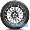 Купить Всесезонная шина MICHELIN CrossClimate 2 225/45R17 91W