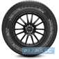Летняя шина PIRELLI Carrier - rezina.cc