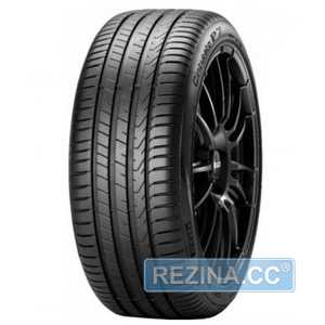 Купити Лiтня шина PIRELLI Cinturato P7 P7C2 255/45R19 100T