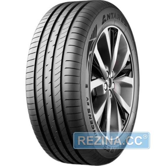 Купить Летняя шина ANTARES Ingens EV 205/55R16 91V