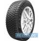 Купити Зимова шина MAXXIS Premitra Ice SP5 SUV 255/55R20 110T XL