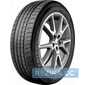 Купить Летняя шина TRIANGLE TC101 245/50R17 99Y